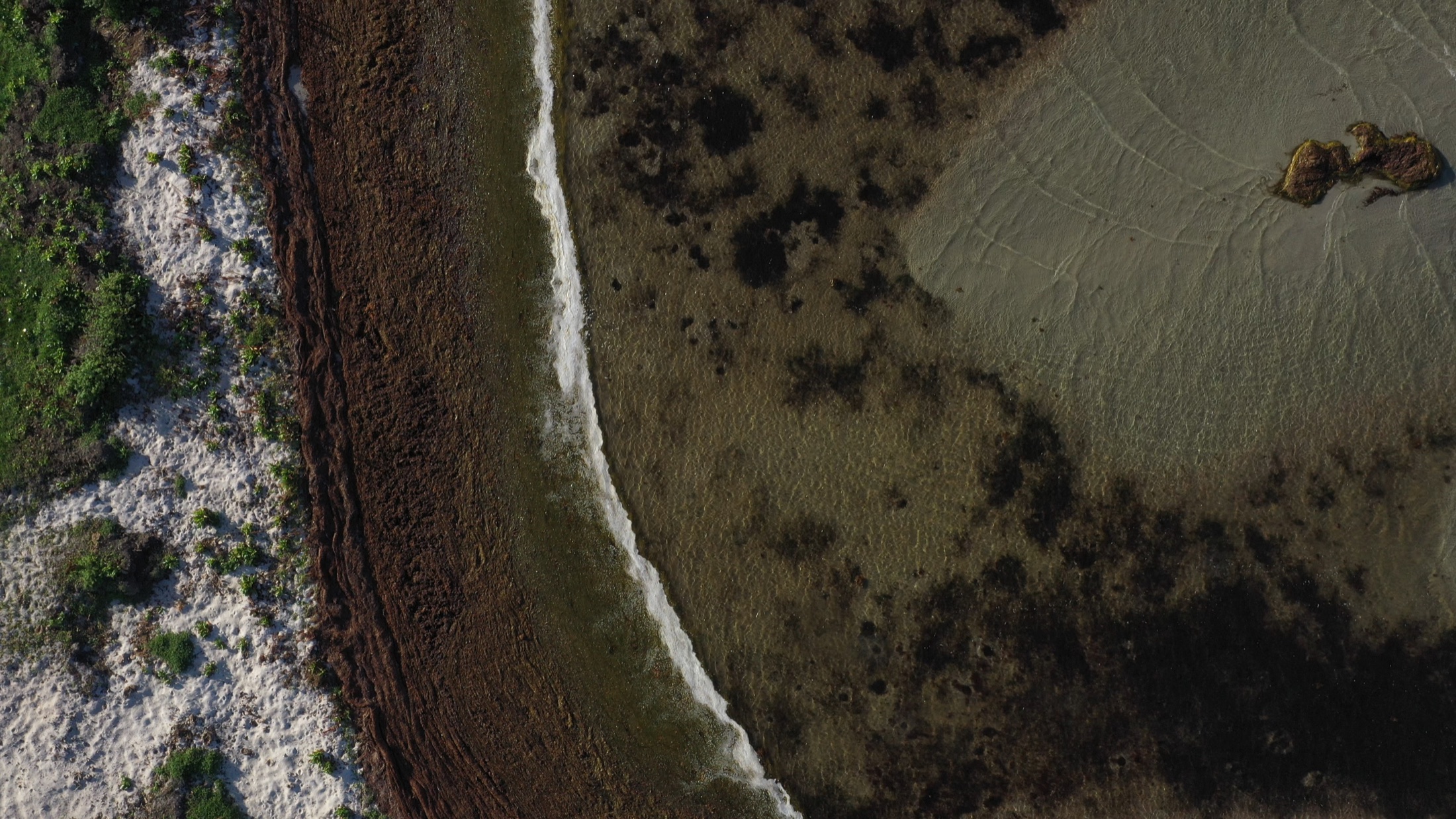 Aerial view of a tropical shoreline